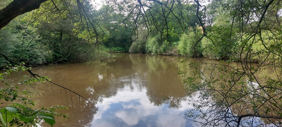 Etang avec cabanon