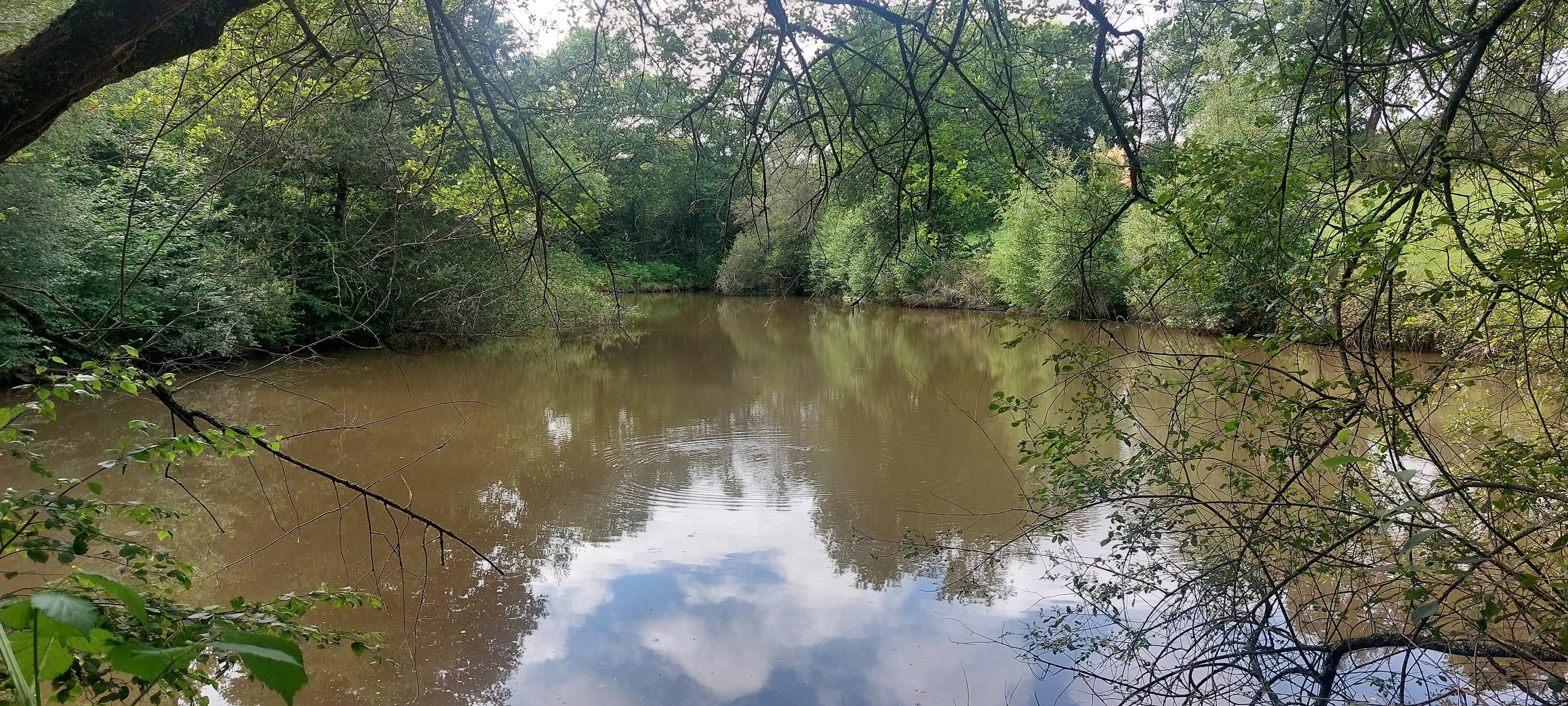 Etang avec cabanon