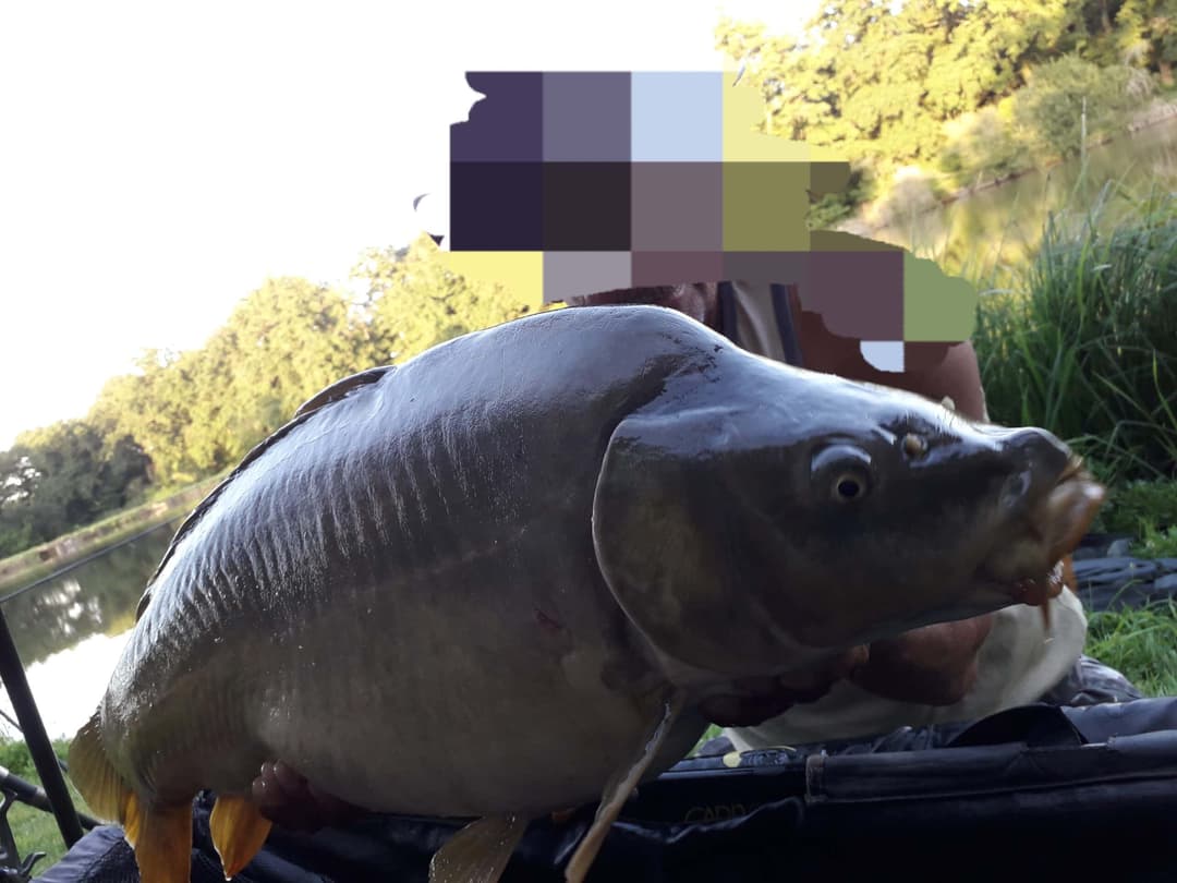 Location étang pêche, week-end et vacances 