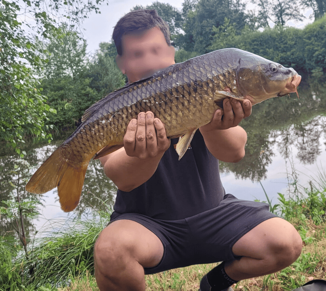 Évasion naturelle : pêche et camping au cœur de la Haute-Vienne 