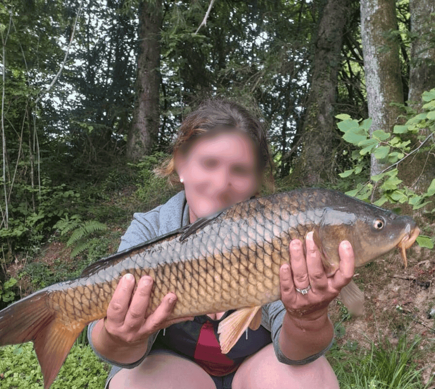 Évasion naturelle : pêche et camping au cœur de la Haute-Vienne 