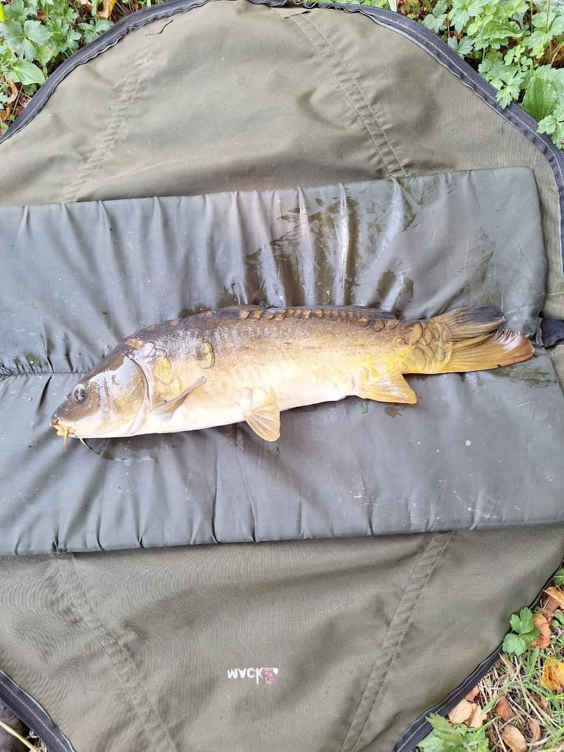 Évasion naturelle : pêche et camping au cœur de la Haute-Vienne 