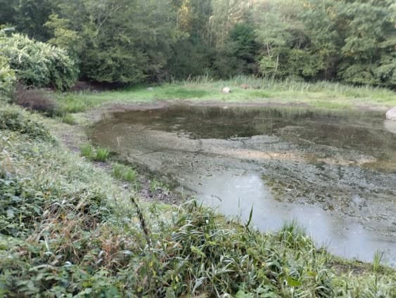 Etang à louer en Haute-Saône pour camper au bord de l’eau 