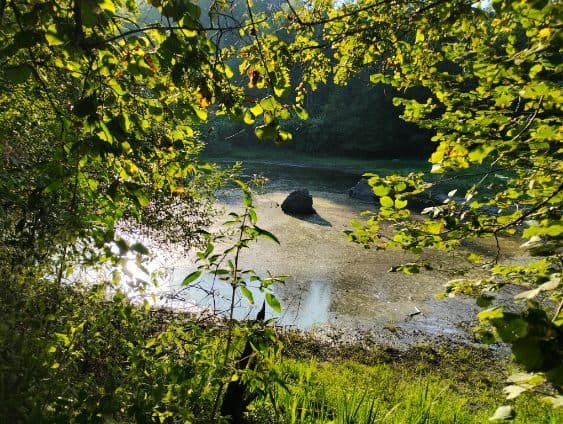 Etang à louer en Haute-Saône pour camper au bord de l’eau 