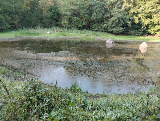 Etang à louer en Haute-Saône pour camper au bord de l’eau 