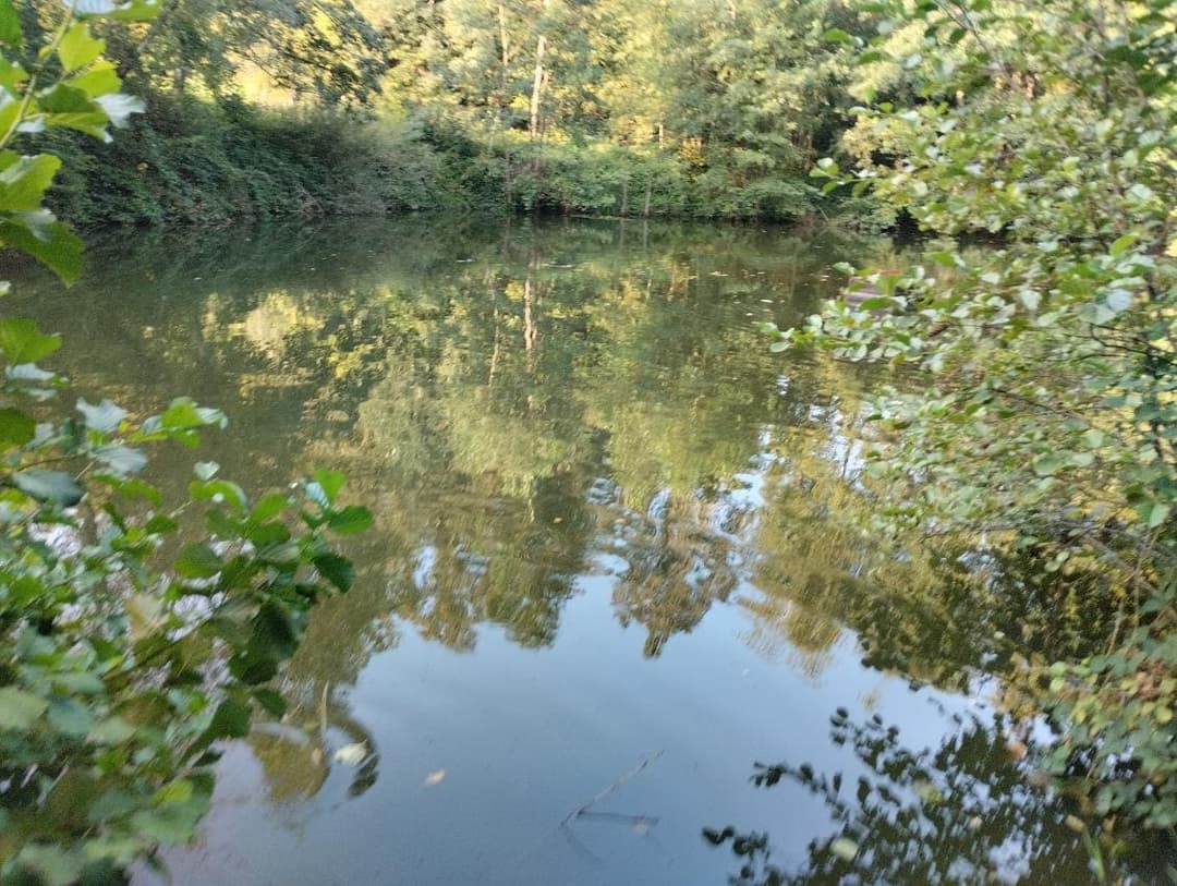 Etang à louer en Haute-Saône pour camper au bord de l’eau 