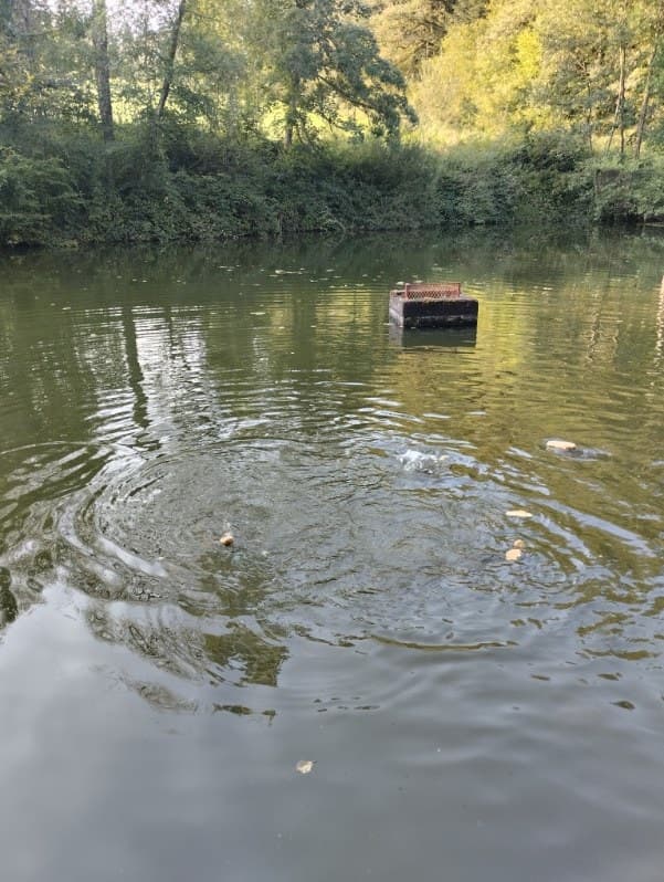 Etang à louer en Haute-Saône pour camper au bord de l’eau 