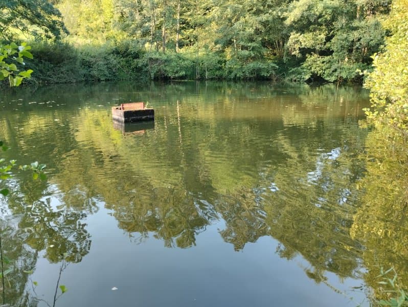 Etang à louer en Haute-Saône pour camper au bord de l’eau 