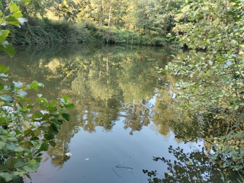 Etang à louer en Haute-Saône pour camper au bord de l’eau 