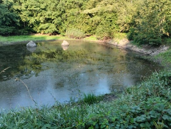 Etang à louer en Haute-Saône pour camper au bord de l’eau 