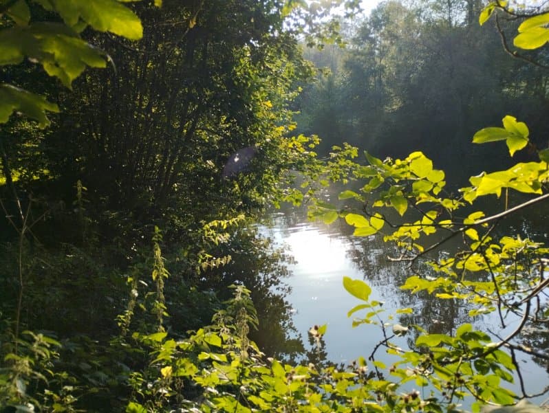 Etang à louer en Haute-Saône pour camper au bord de l’eau 