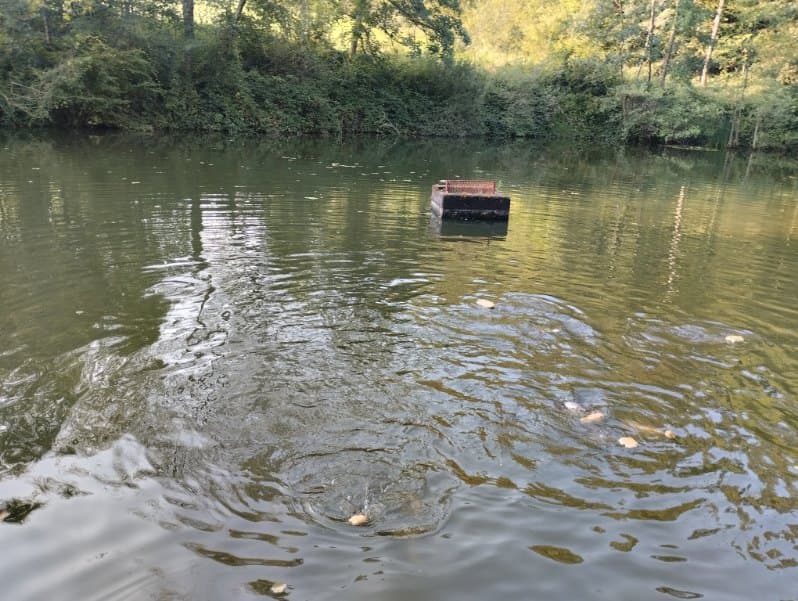 Etang à louer en Haute-Saône pour camper au bord de l’eau 