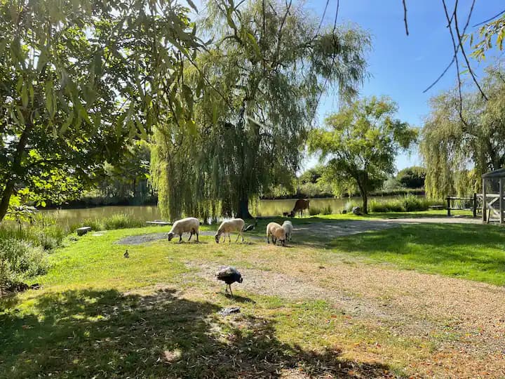 Gîte 6 couchages de charme au bord d’un étang pour les vacances 