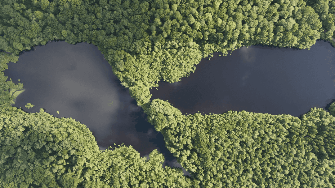 2 étangs de 12ha en déconnexion totale au coeur de la nature 