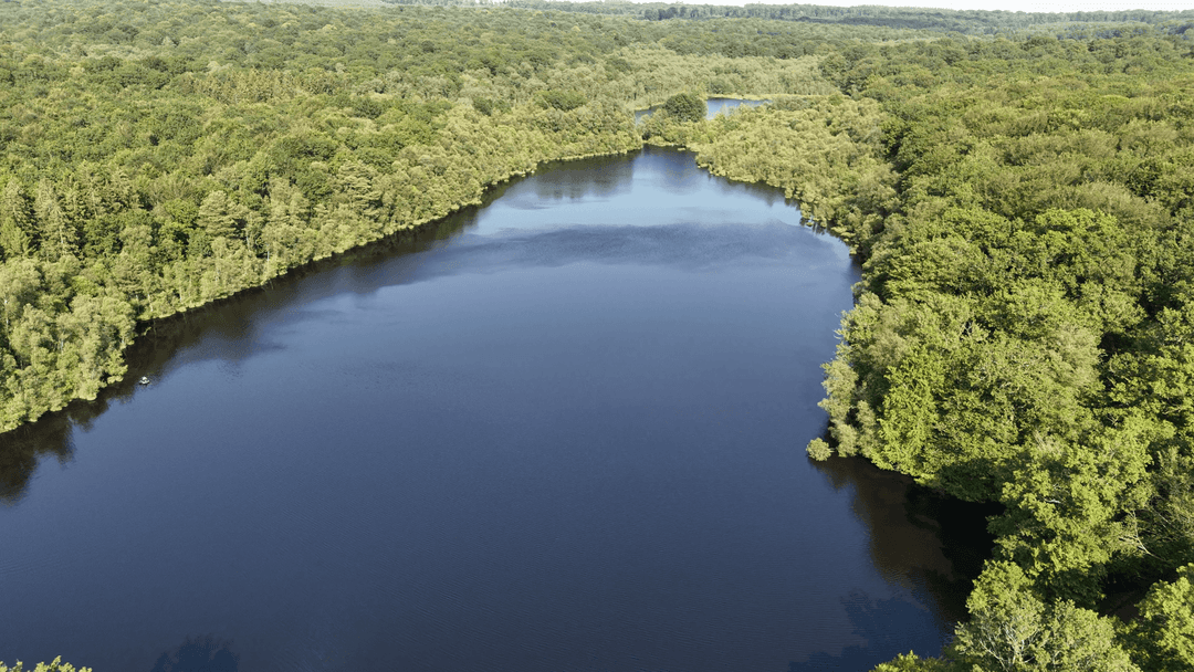 2 étangs de 12ha en déconnexion totale au coeur de la nature 
