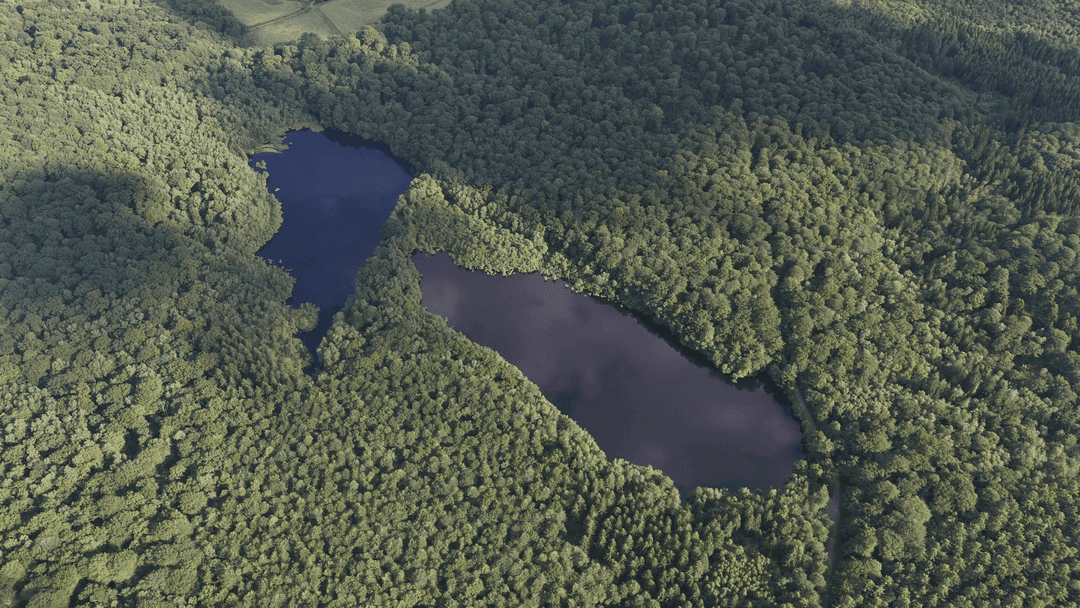 2 étangs de 12ha en déconnexion totale au coeur de la nature 