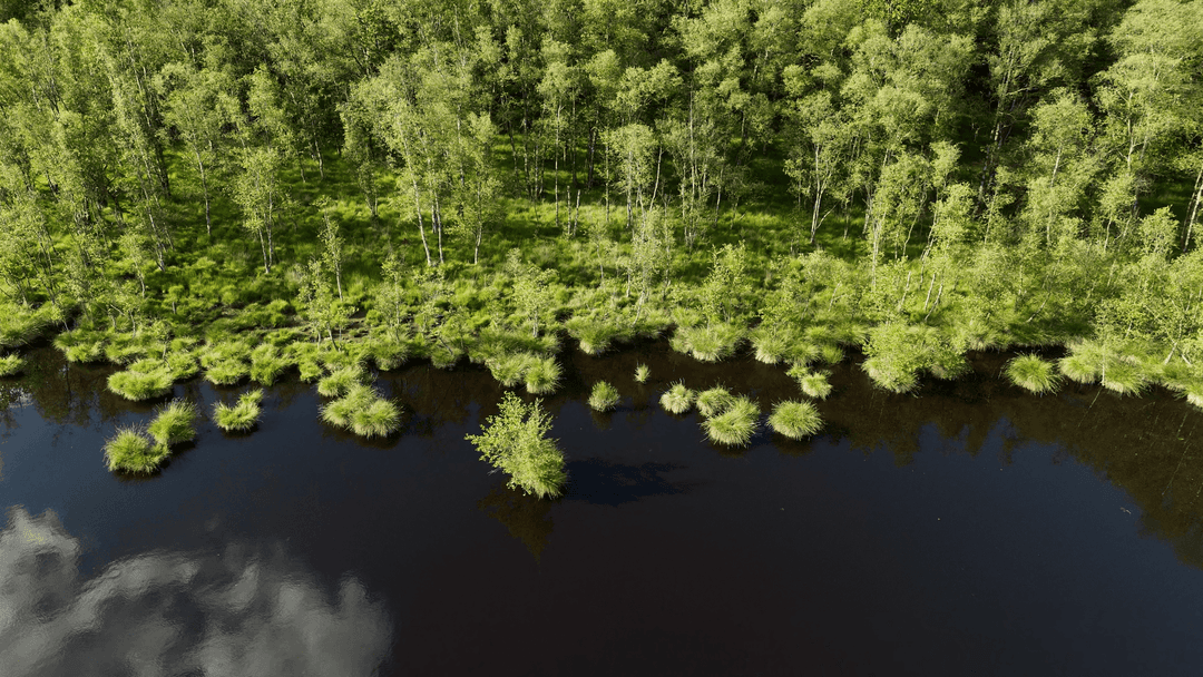 2 étangs de 12ha en déconnexion totale au coeur de la nature 