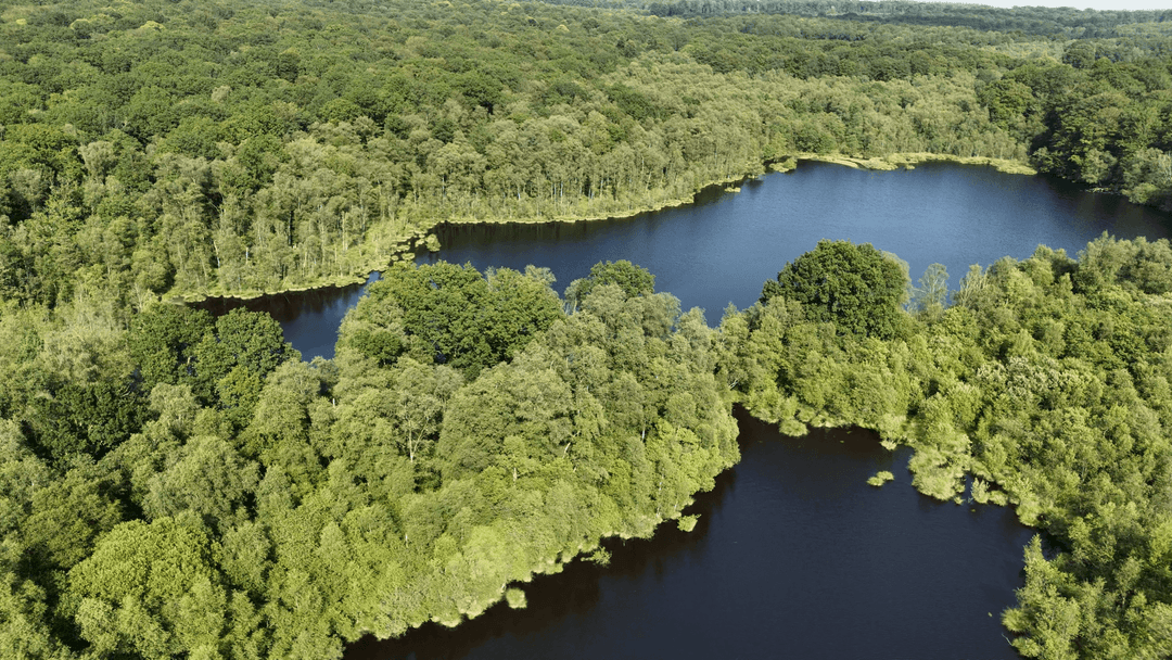 2 étangs de 12ha en déconnexion totale au coeur de la nature 