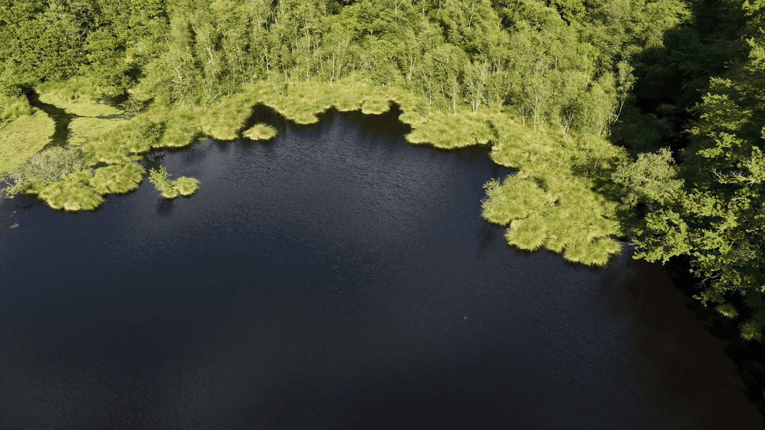 2 étangs de 12ha en déconnexion totale au coeur de la nature 