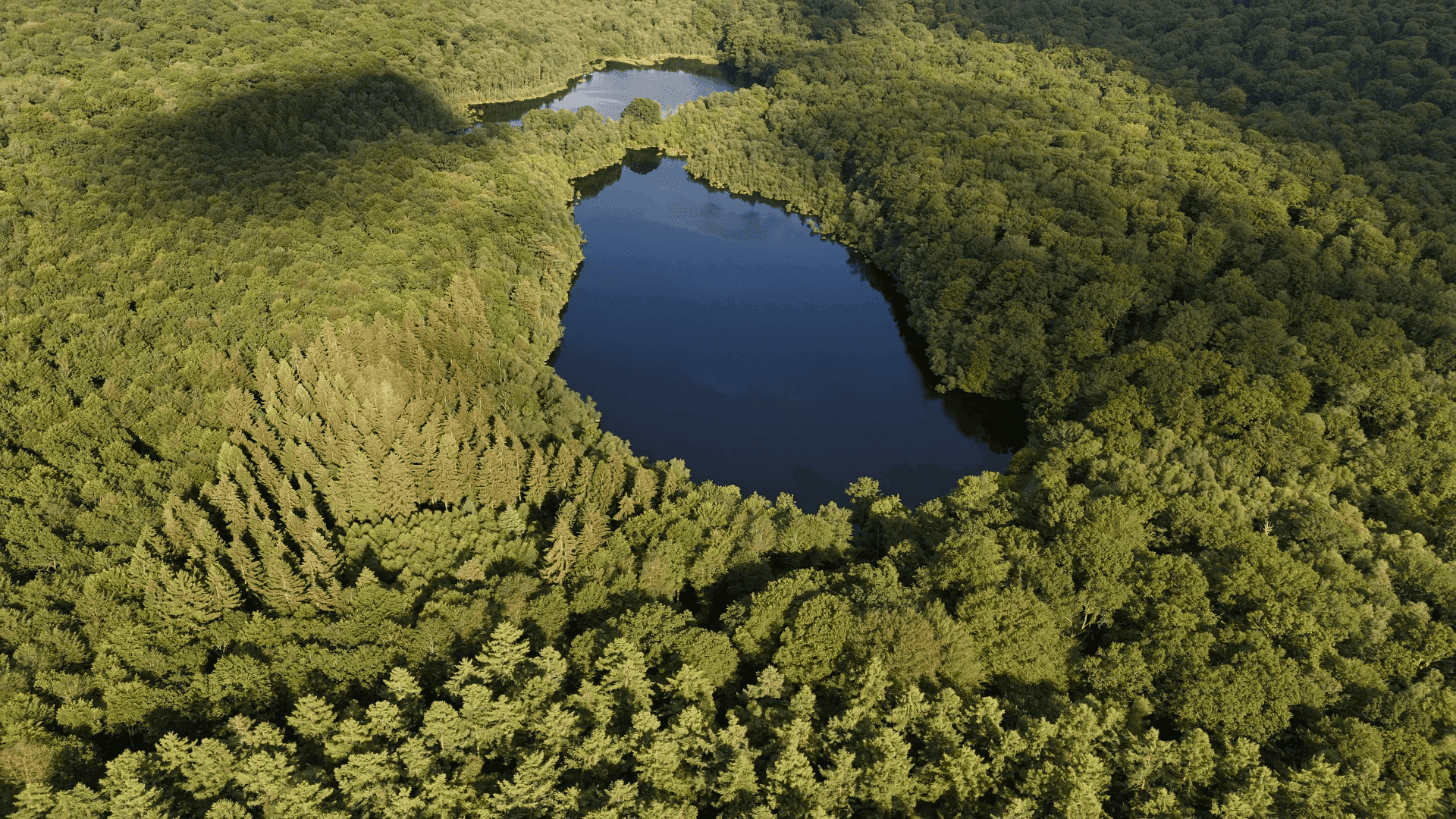 2 étangs de 12ha en déconnexion totale au coeur de la nature 