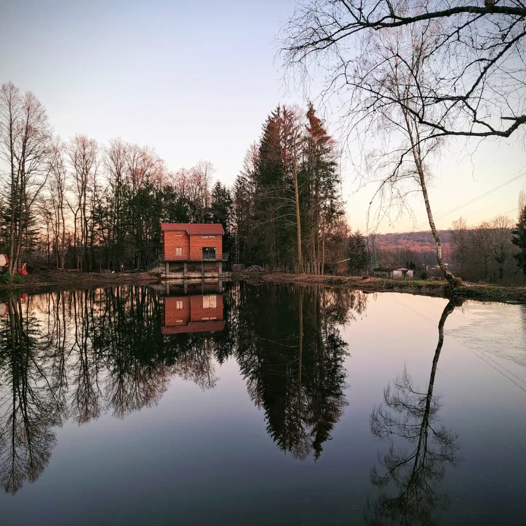 Gîte et son étang à côté des chevaux 