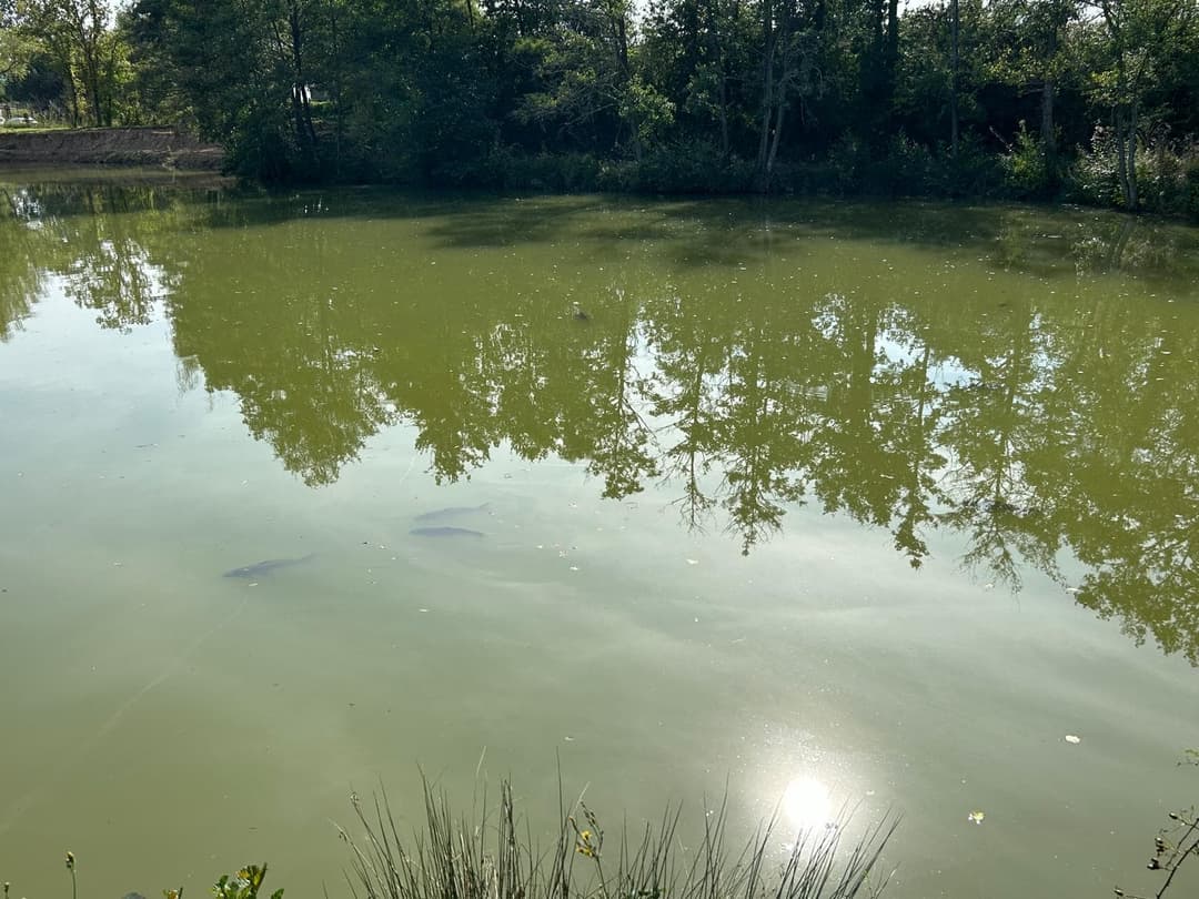 Une journée de pêche et de détente au bord de l’eau 