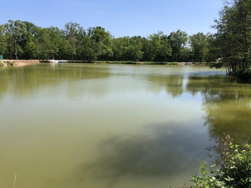 Une journée de pêche et de détente au bord de l’eau 