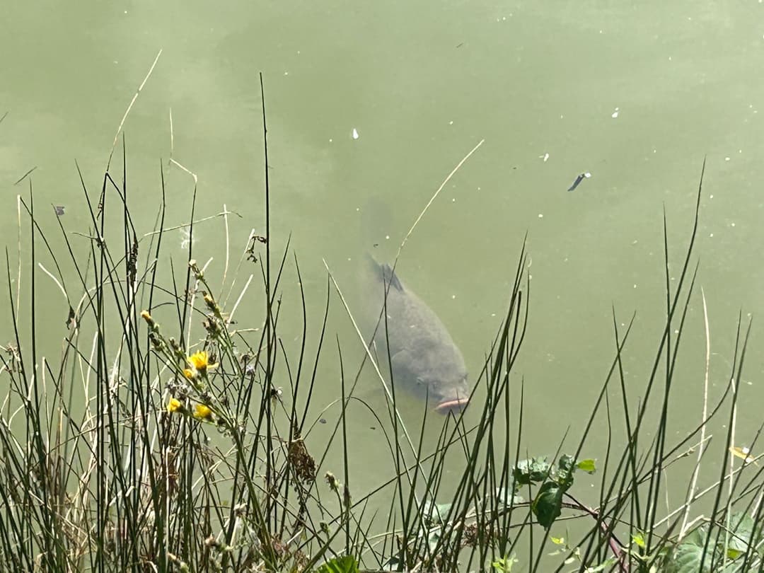 Une journée de pêche et de détente au bord de l’eau 