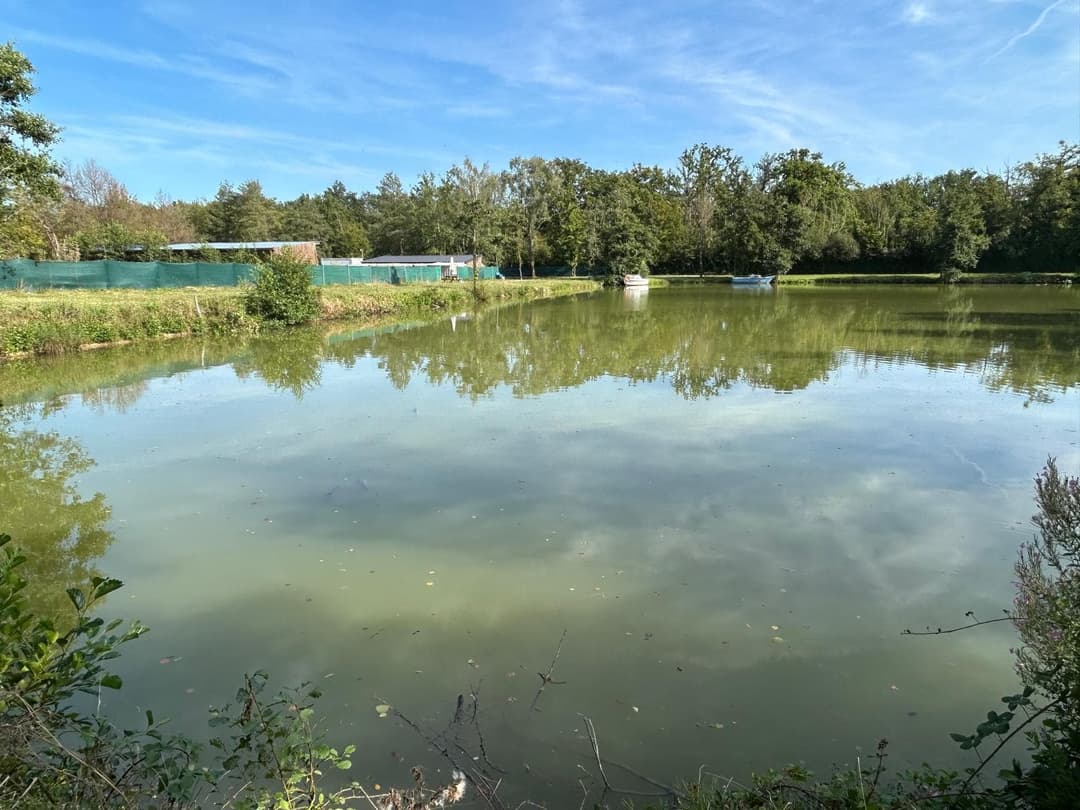 Une journée de pêche et de détente au bord de l’eau 