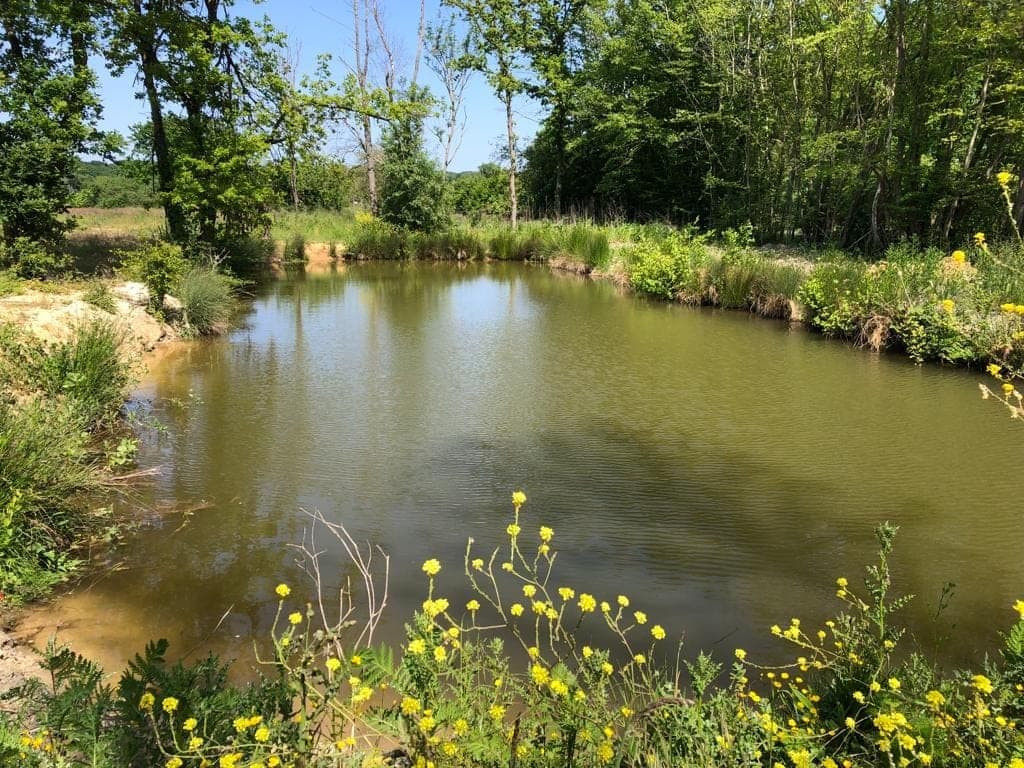 Une journée de pêche et de détente au bord de l’eau 