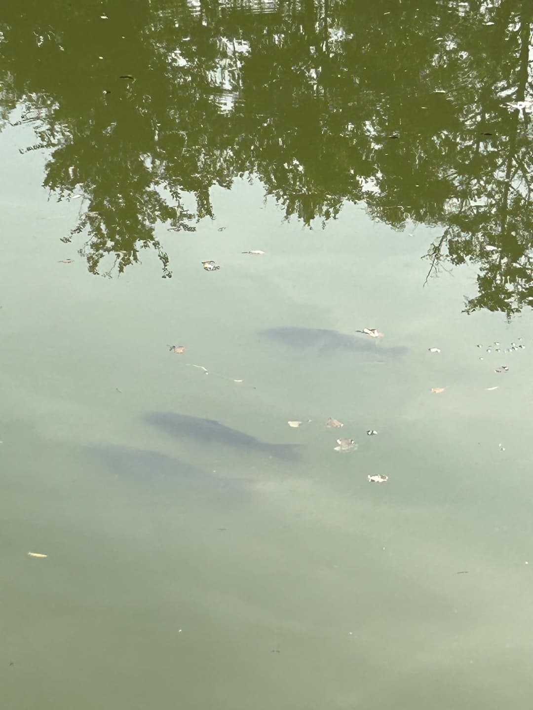 Une journée de pêche et de détente au bord de l’eau 