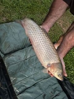 Location d’un étang de 1ha pour pêcher la carpe et camper