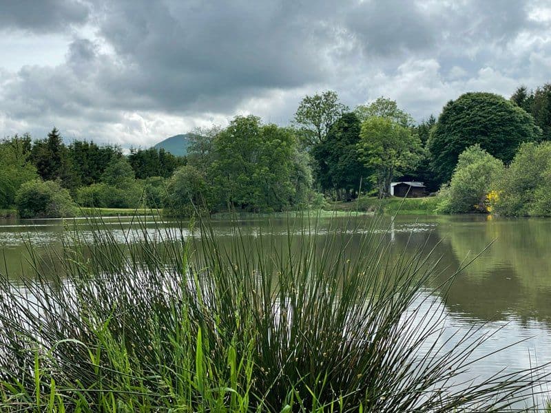 Un séjour camping/pêche en plein air dans le Puy-de-Dôme 