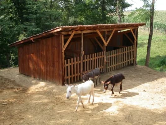 Etang dans les Landes avec son chalet 5 couchages - Céline