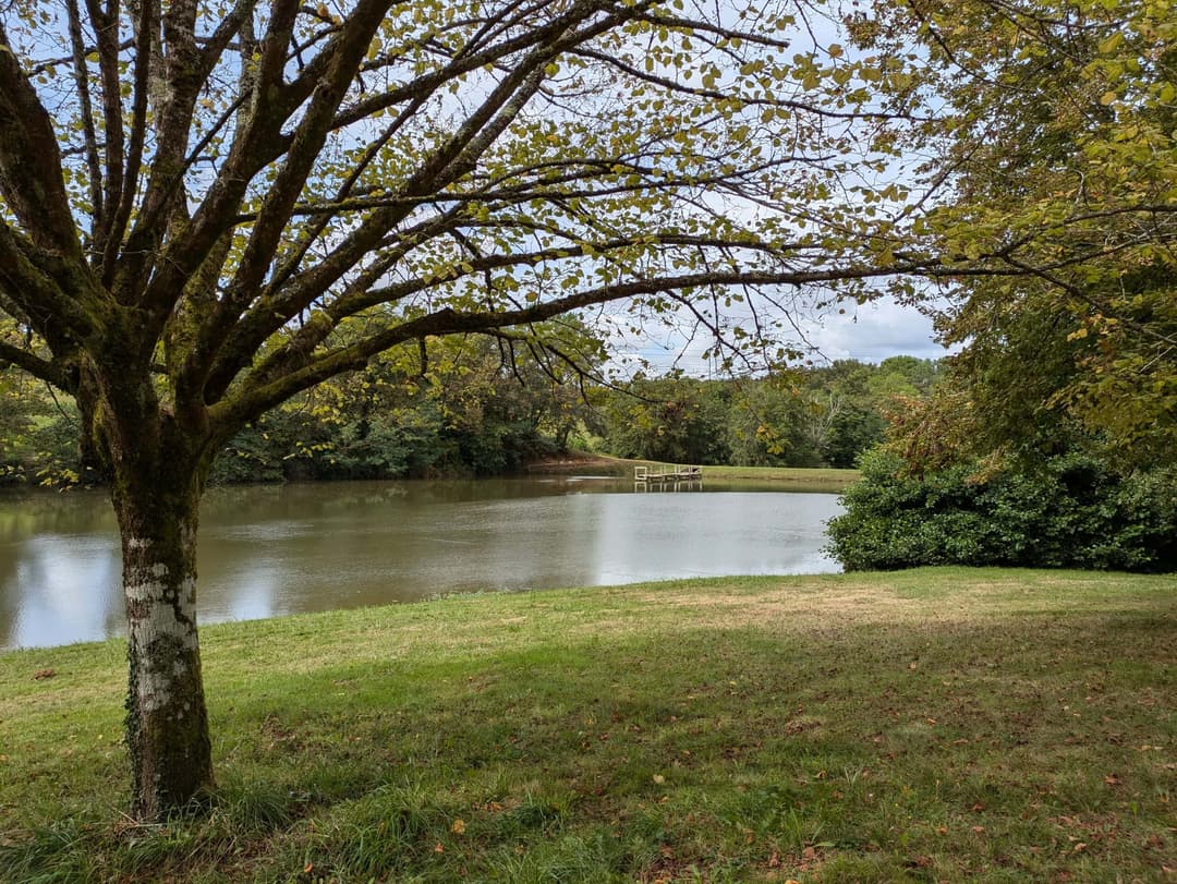 Privé : Privé : Etang dans les Landes avec son chalet 5 couchages 