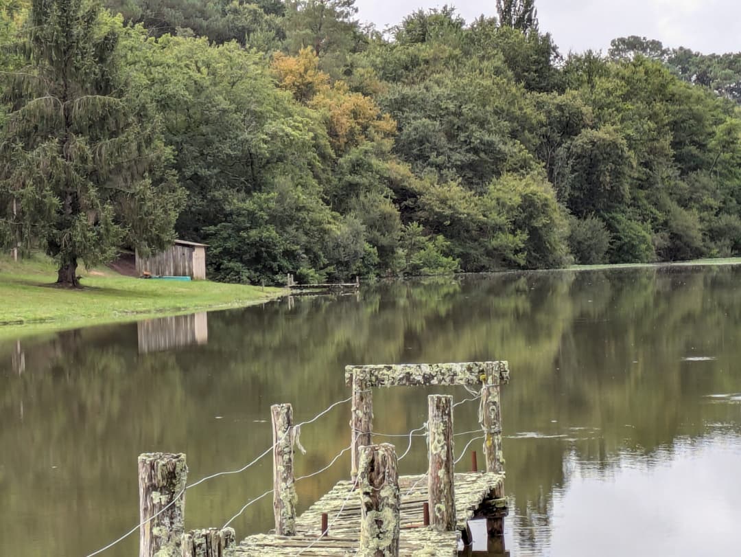 Privé : Privé : Etang dans les Landes avec son chalet 5 couchages 