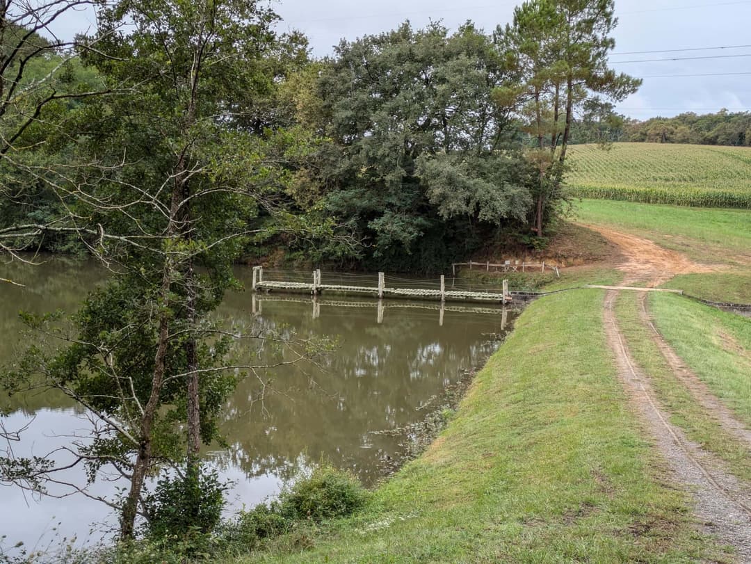 Privé : Privé : Etang dans les Landes avec son chalet 5 couchages 
