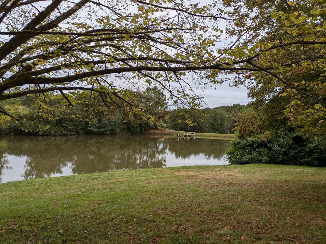 Privé : Privé : Etang dans les Landes avec son chalet 5 couchages 