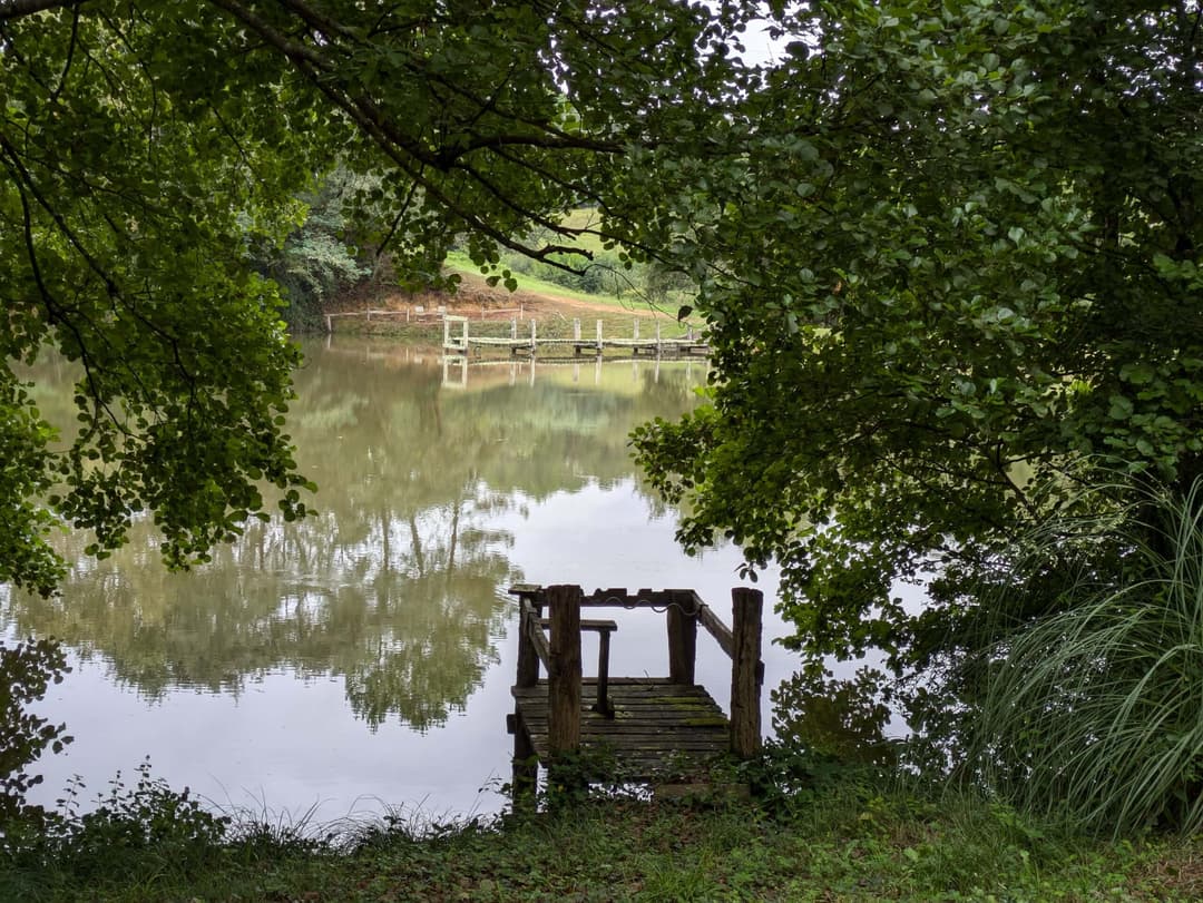 Privé : Privé : Etang dans les Landes avec son chalet 5 couchages 
