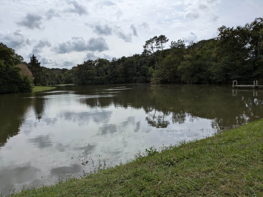Privé : Privé : Etang dans les Landes avec son chalet 5 couchages 