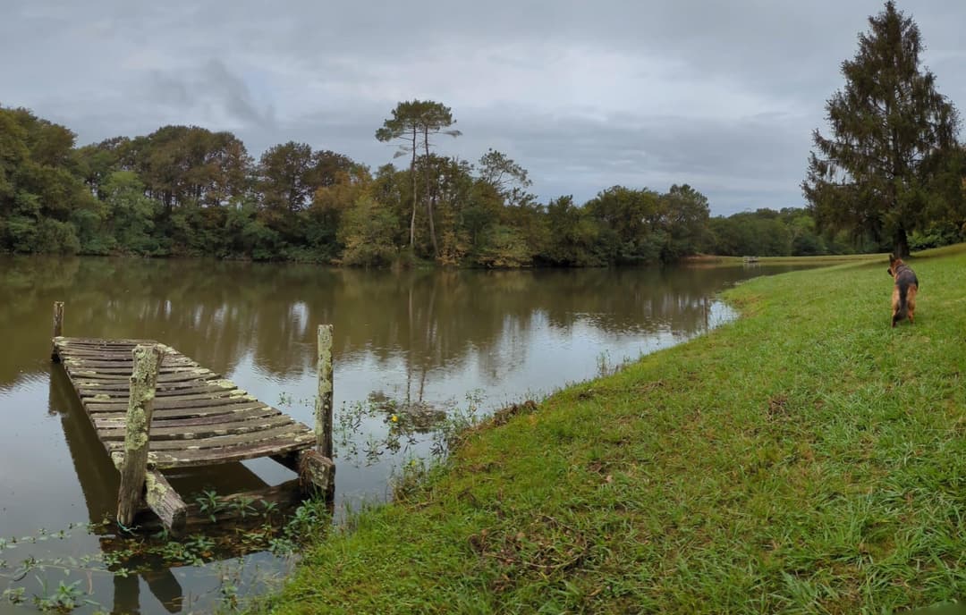 Privé : Privé : Etang dans les Landes avec son chalet 5 couchages 