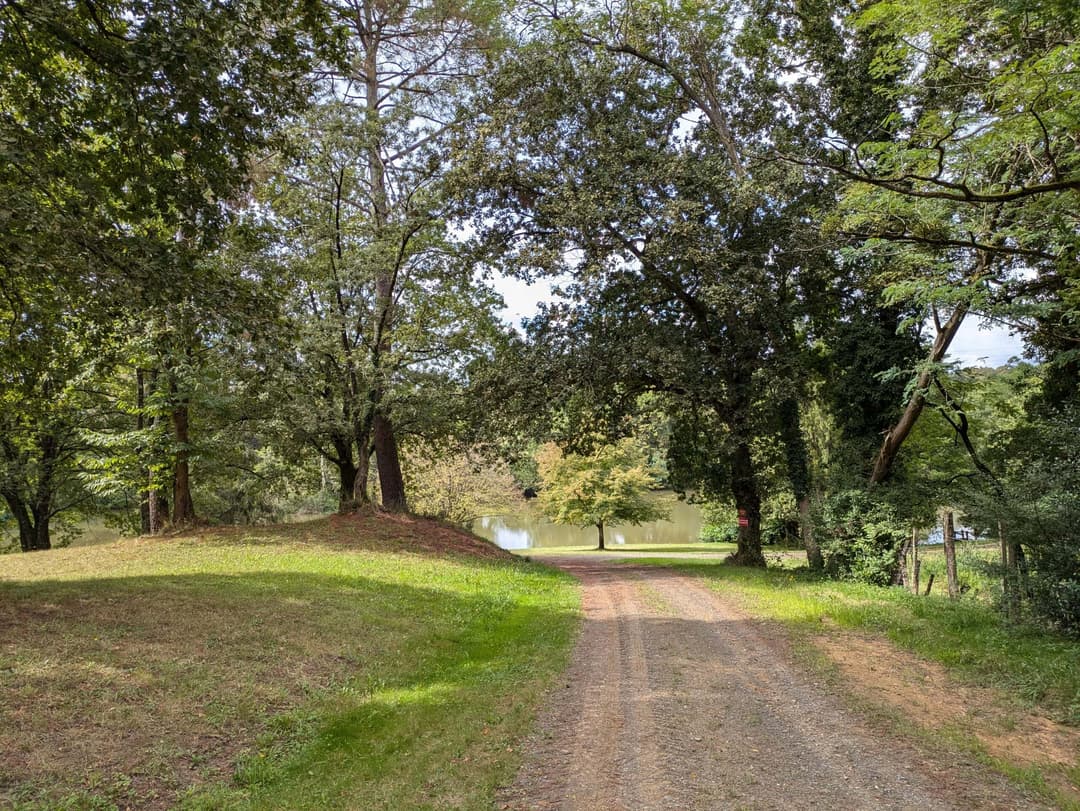Privé : Privé : Etang dans les Landes avec son chalet 5 couchages 