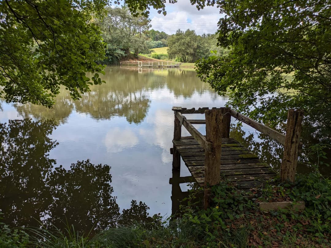 Privé : Privé : Etang dans les Landes avec son chalet 5 couchages 