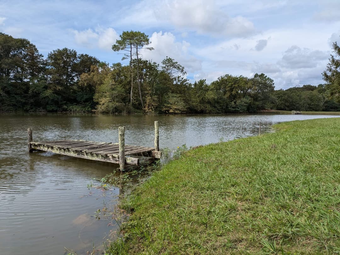 Privé : Privé : Etang dans les Landes avec son chalet 5 couchages 
