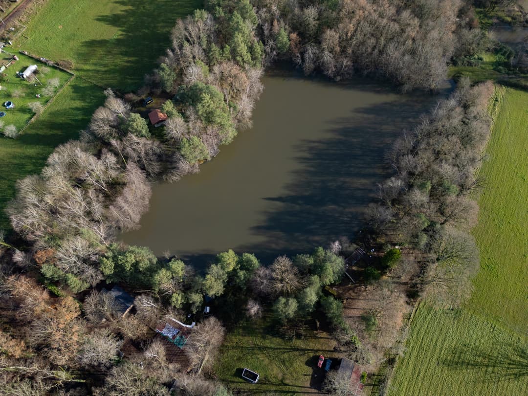 Joli chalet-terrasse avec son étang sauvage en Saône et Loire 