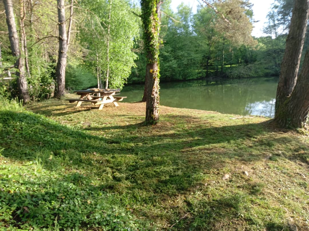 Joli chalet-terrasse avec son étang sauvage en Saône et Loire 