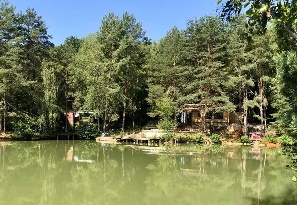 Joli chalet-terrasse avec son étang sauvage en Saône et Loire 