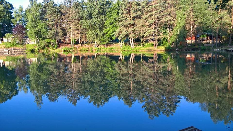 Joli chalet-terrasse avec son étang sauvage en Saône et Loire 