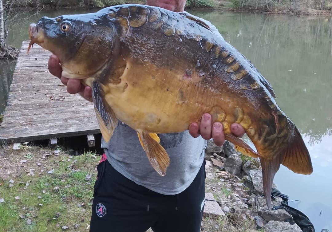 Joli chalet-terrasse avec son étang sauvage en Saône et Loire 