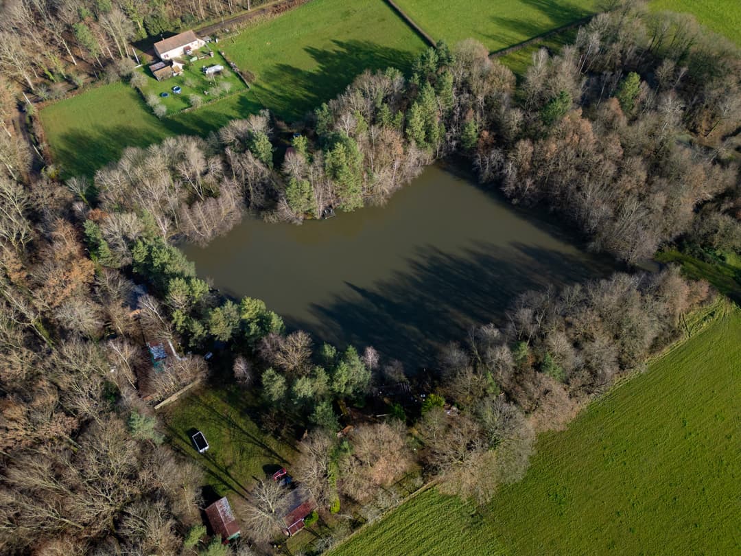 Joli chalet-terrasse avec son étang sauvage en Saône et Loire 